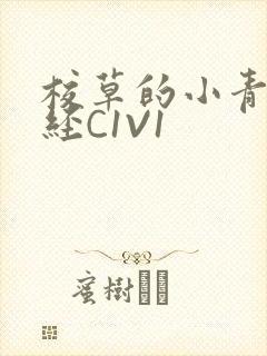 校草的小青梅不经C1V1封面