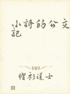 小诗的公交车日记