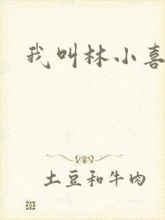 我叫林小喜17封面