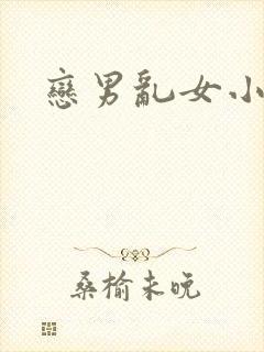 恋男乱女小说