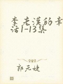 李老汉的幸福生活1-13集