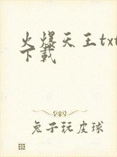 火爆天王txt下载