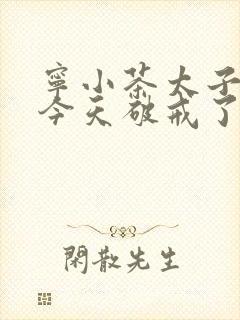 宁小茶太子殿下今天破戒了吗免费阅读