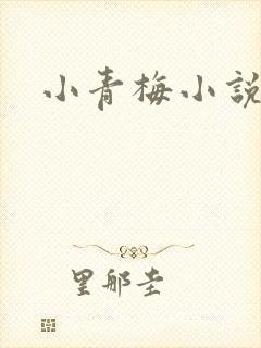 小青梅小说