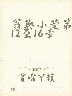 翁与小莹第十部12至16章