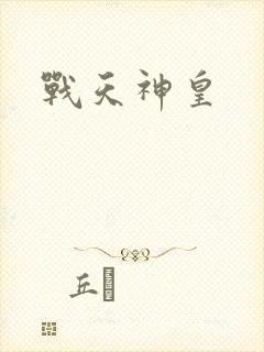 战天神皇封面