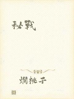 秘战封面