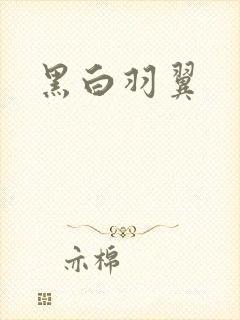 黑白羽翼封面