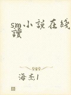 sm小说在线阅读封面