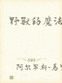 野兽的魔法师封面