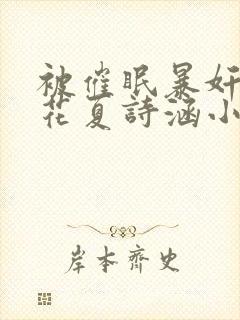 被催眠暴奸的校花夏诗涵小说封面