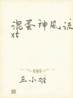 混蛋神风流史txt