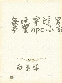 每晚穿进男神的梦里npc小说封面