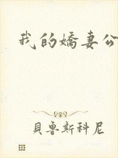 我的娇妻公务员