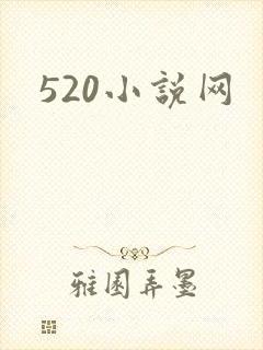 520小说网