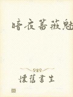 暗夜蔷薇魅