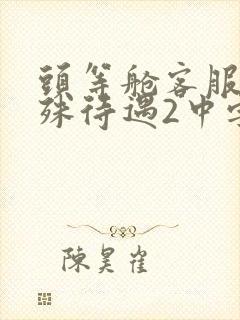 头等舱客服的特殊待遇2中字