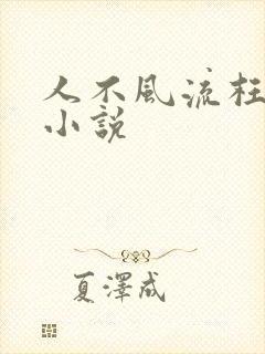 人不风流枉少年小说