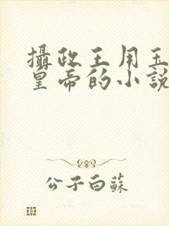 摄政王用玉髓整皇帝的小说