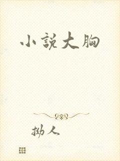 小说大胸封面