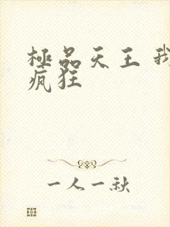 极品天王 我本疯狂封面