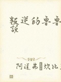 叛逆的鲁鲁修小说