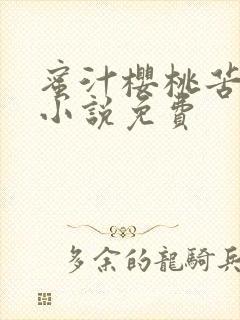 蜜汁樱桃苦咖啡小说免费