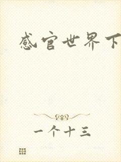 感官世界下载封面