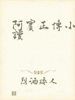 阿宾正传小说在读