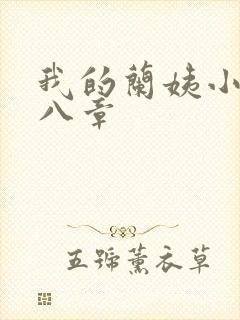 我的兰姨小说第八章