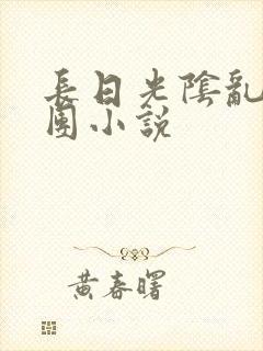 长日光阴乱作一团小说