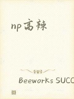 np高辣封面