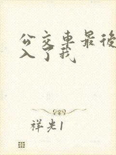 公交车最后一排入了我