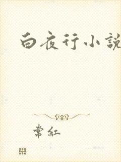 白夜行小说下载封面