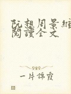 阮想周景维免费阅读全文