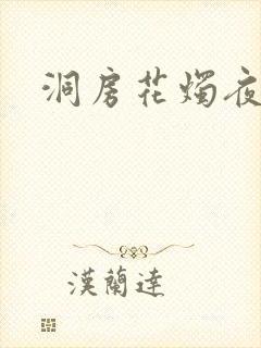 洞房花烛夜小说封面