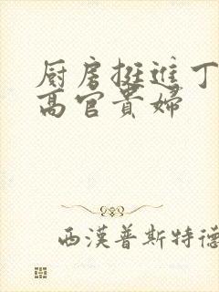 厨房挺进丁字裤高官贵妇