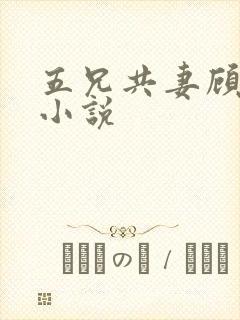 五兄共妻顾心儿小说