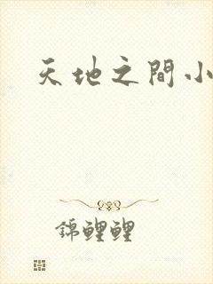 天地之间小说封面