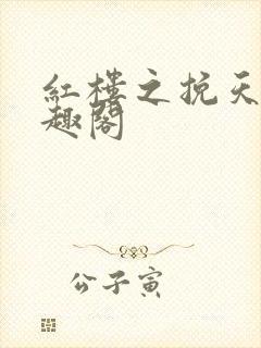 红楼之挽天倾笔趣阁