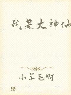 我是大神仙小说