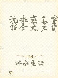 沈微燕王穿越小说全文免费阅读