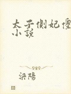 太子侧妃傻乎乎小说