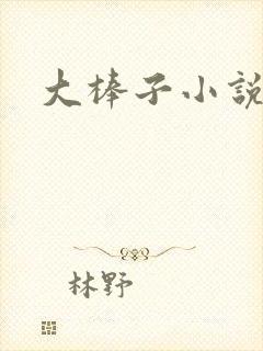 大棒子小说