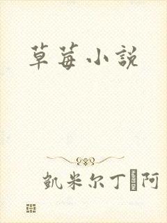 草莓小说