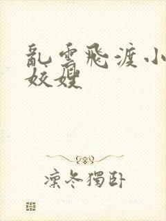 乱云飞渡小说之姣嫂封面