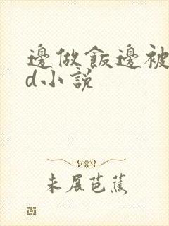 边做饭边被躁bd小说封面