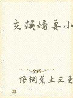 交换娇妻小说