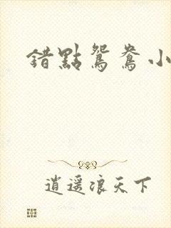 错点鸳鸯小说