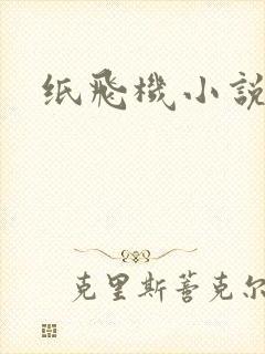 纸飞机小说封面
